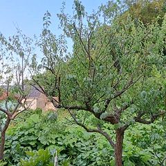 267位のイメージ