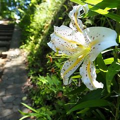 14位のイメージ