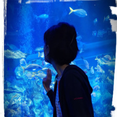 15位のイメージ