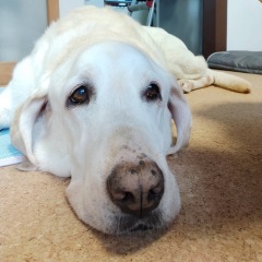 24位のイメージ