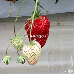 114位のイメージ