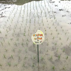 13位のイメージ