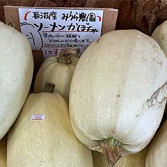 26位のイメージ