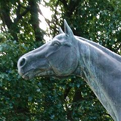 19位のイメージ