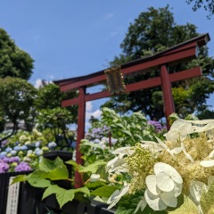 99位のイメージ