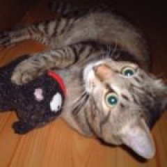 28位のイメージ