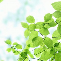 45位のイメージ