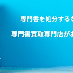28位のイメージ