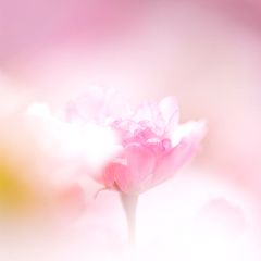 17位のイメージ