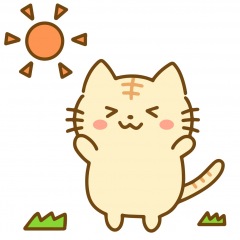 14位のイメージ