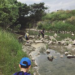 141位のイメージ