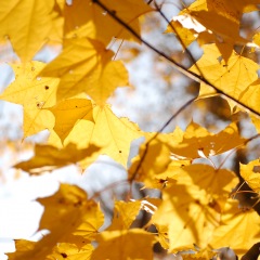 1082位のイメージ