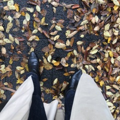 47位のイメージ