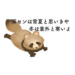 29位のイメージ