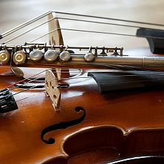 14位のイメージ