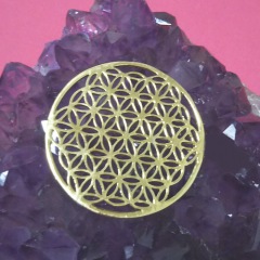 252位のイメージ