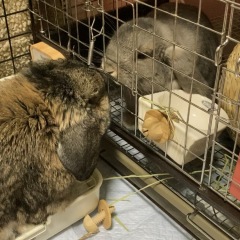 17位のイメージ