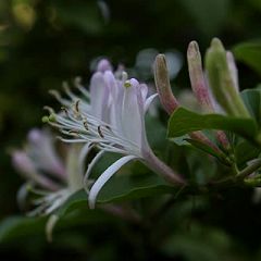 126位のイメージ