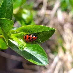 30位のイメージ