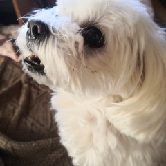 47位のイメージ