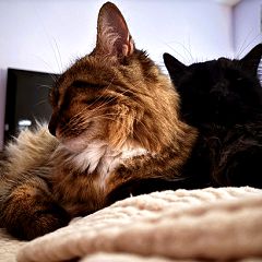 23位のイメージ