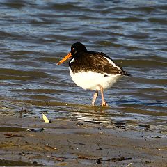 93位のイメージ