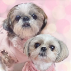 27位のイメージ