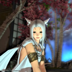 84位のイメージ