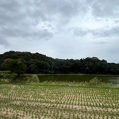 86位のイメージ