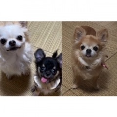 79位のイメージ