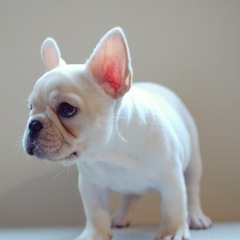 19位のイメージ