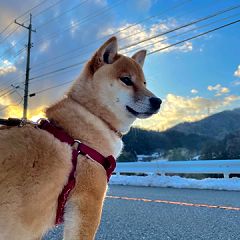 14位のイメージ