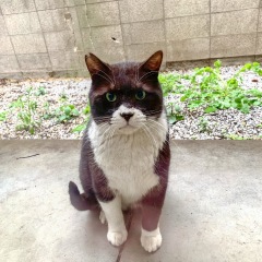 19位のイメージ