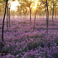 14位のイメージ