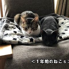 24位のイメージ