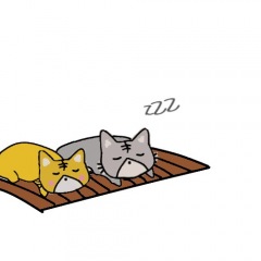 51位のイメージ