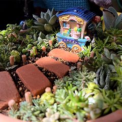 29位のイメージ