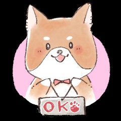 17位のイメージ