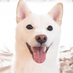 26位のイメージ