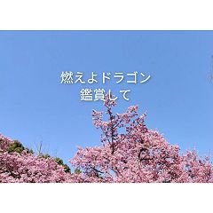 35位のイメージ