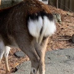 37位のイメージ