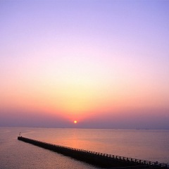 26位のイメージ