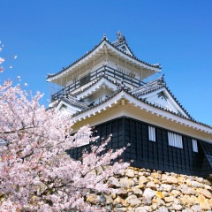 108位のイメージ