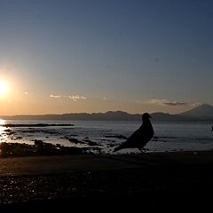 49位のイメージ