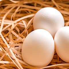 14位のイメージ