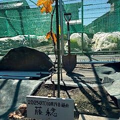 116位のイメージ