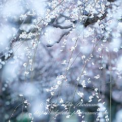 12位のイメージ