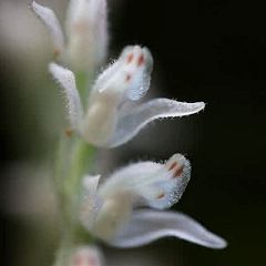 43位のイメージ