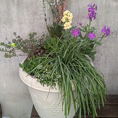 27位のイメージ