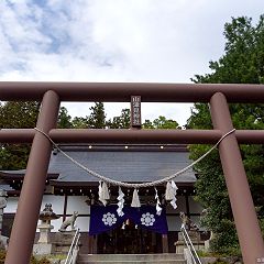 171位のイメージ